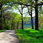 Eagle Nest Hidden Lake Resort