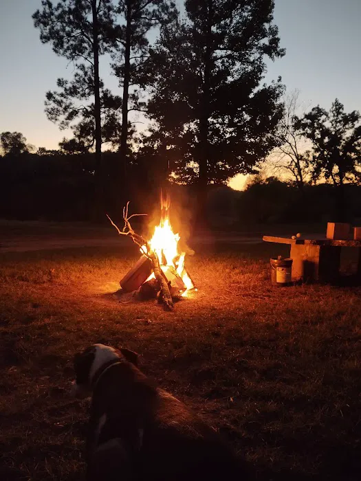 Yellow Dog Boat Launch Picture 5