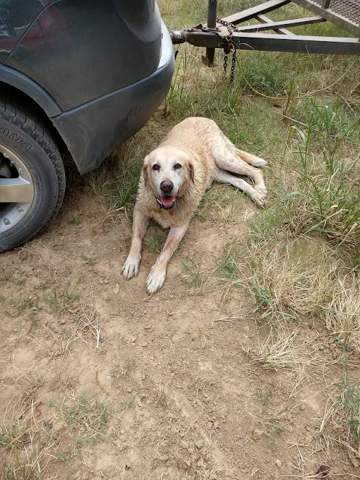 Yellow Dog Boat Launch Picture 8