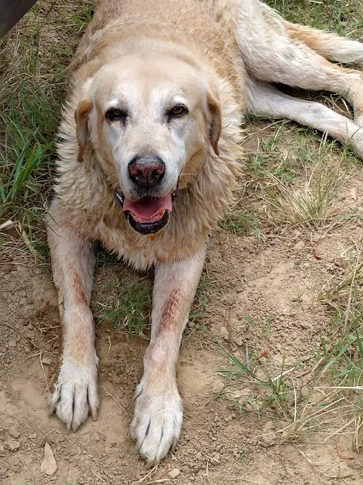 Yellow Dog Boat Launch Picture 6