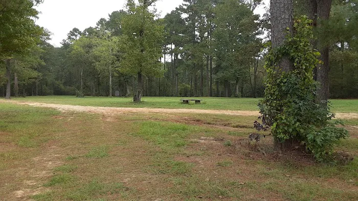 Yellow Dog Boat Launch Picture 10