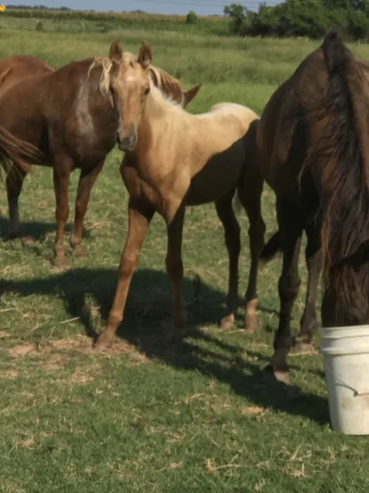 Kinsey Scout Reservation Picture 4