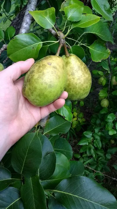 Twin Corners RV Park Picture 2