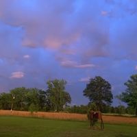 Trailerhood At Sumrall Farm ico