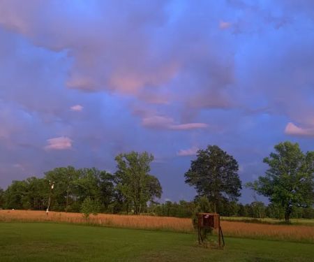 Trailerhood At Sumrall Farm