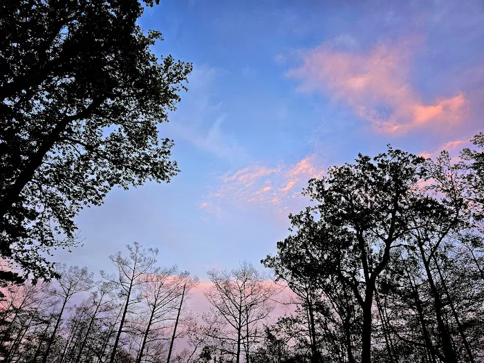Magnolia Ridge Park Campground Picture 7