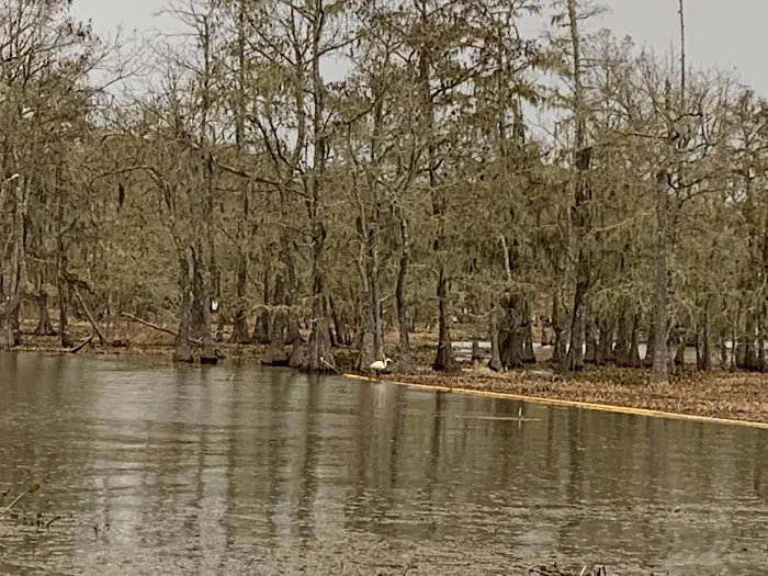 Magnolia Ridge Park Campground Picture 1