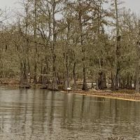 Magnolia Ridge Park Campground ico