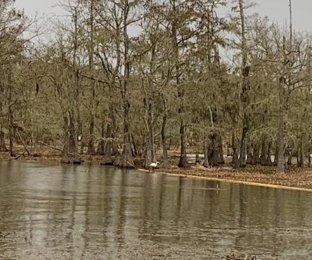 Magnolia Ridge Park Campground