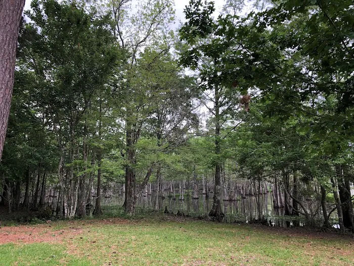 Magnolia Ridge Park Campground Picture 8