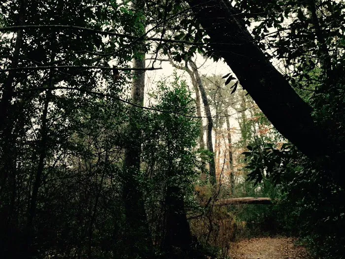 Magnolia Ridge Picture 3