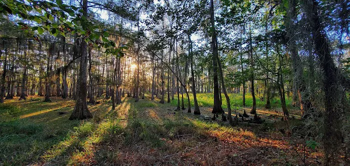 Magnolia Ridge Picture 9