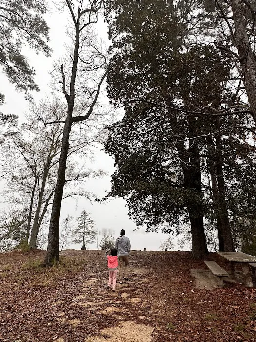 Martin Dies, Jr. Campground Picture 10