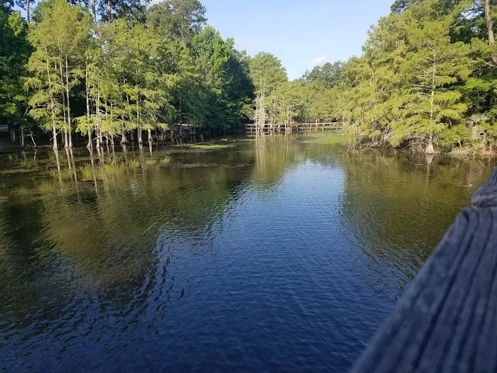 Martin Dies, Jr. Campground Picture 6