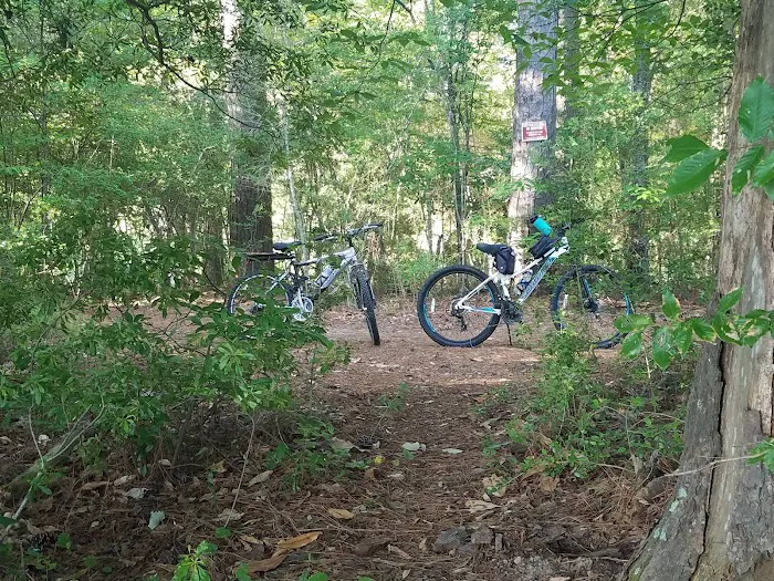 Martin Dies, Jr. Campground Picture 7