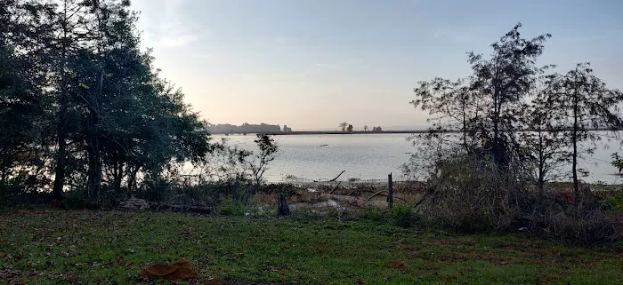 Martin Dies, Jr. Campground Picture 3