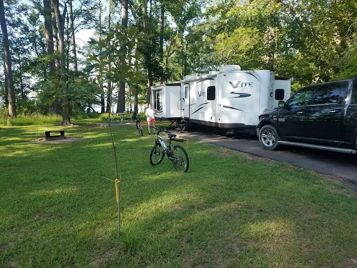 Martin Dies, Jr. Campground Picture 8