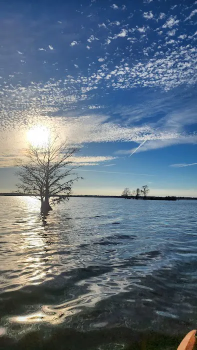 Martin Dies, Jr. Campground Picture 1