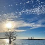 Martin Dies, Jr. Campground