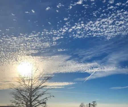 Martin Dies, Jr. Campground