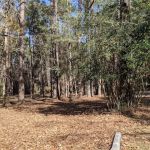 Walnut Ridge Campground