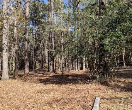 Walnut Ridge Campground