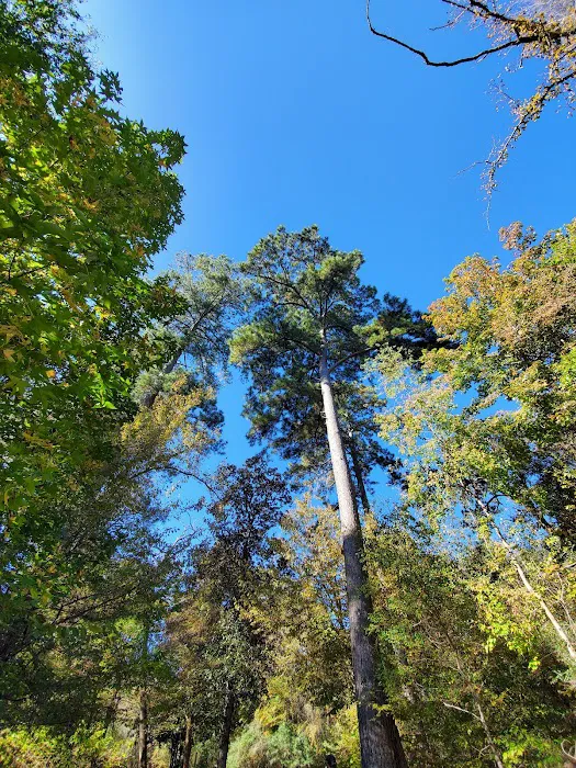 Walnut Ridge Campground Picture 8