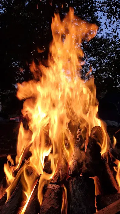 Walnut Ridge Campground Picture 3