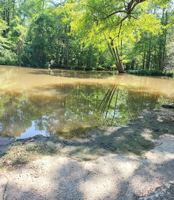 Sandy Creek Picture 4