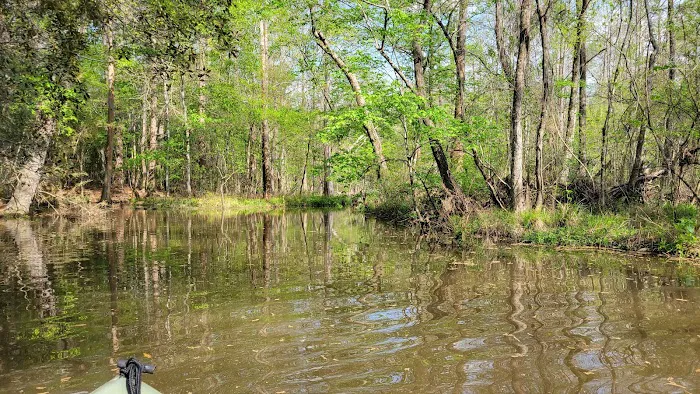 Sandy Creek Picture 2