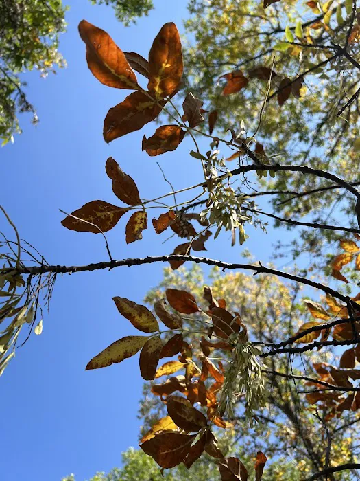 Sivert Thompson Activities Center Picture 4