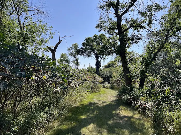 Sivert Thompson Activities Center Picture 3