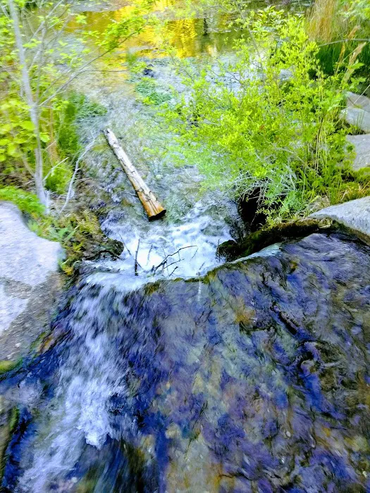 Rock Creek Campground Picture 4