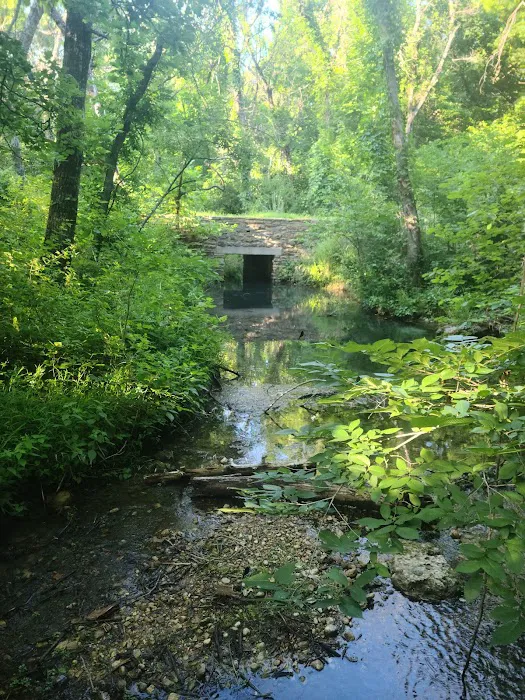 Cold Springs Campground Picture 5