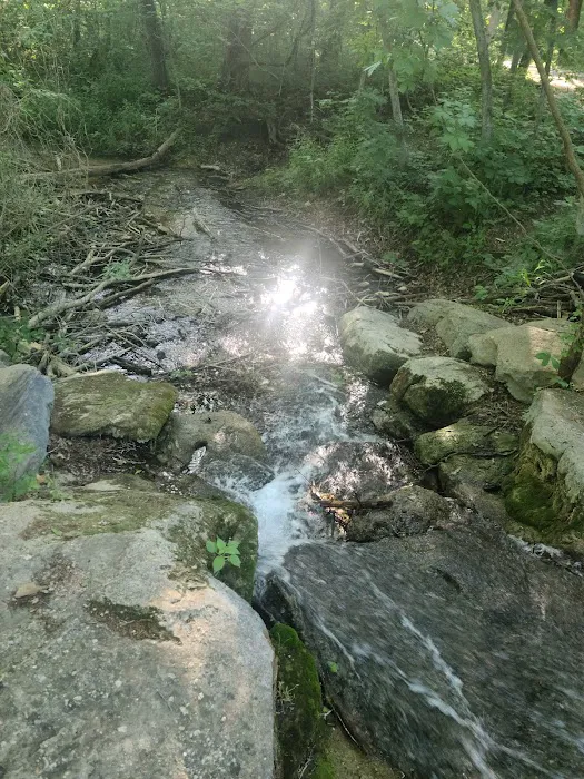 Cold Springs Campground Picture 6