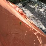 The Point Campground