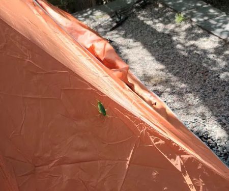 The Point Campground