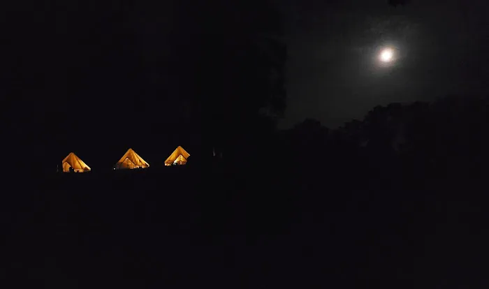 The Sycamore Glampground Picture 8