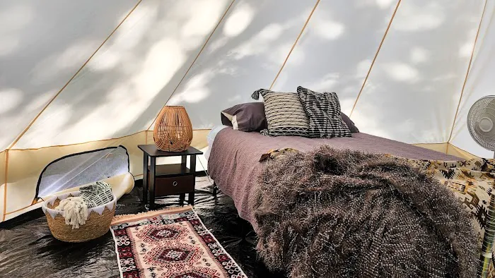 The Sycamore Glampground Picture 1