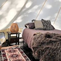The Sycamore Glampground ico