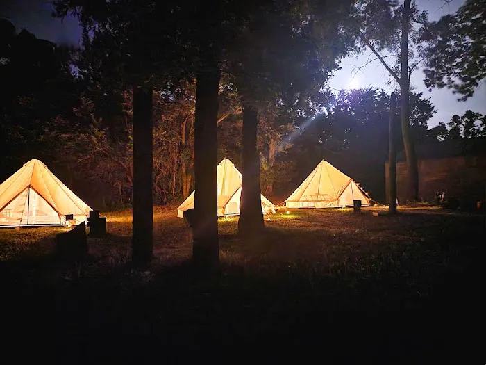 The Sycamore Glampground Picture 6