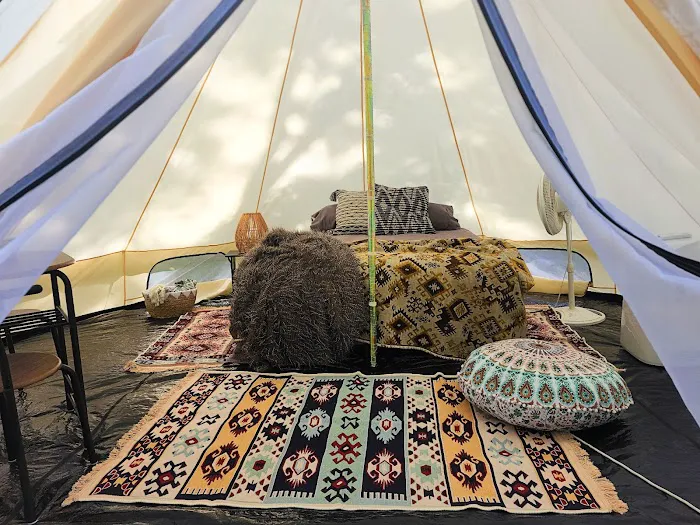 The Sycamore Glampground Picture 2