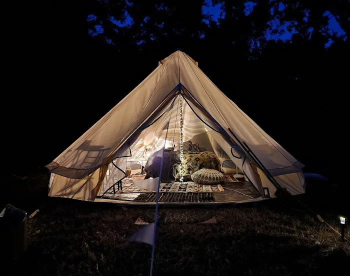 The Sycamore Glampground Picture 3