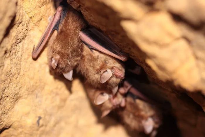 Camp Sasakwa Picture 1