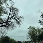 Lake Murray State Park Group Camp 2