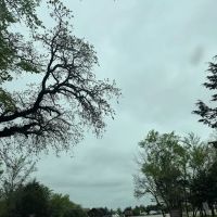 Lake Murray State Park Group Camp 2 ico