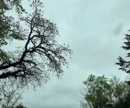 Lake Murray State Park Group Camp 2