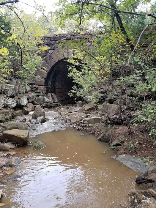 Murray Lake RV Campground Picture 10