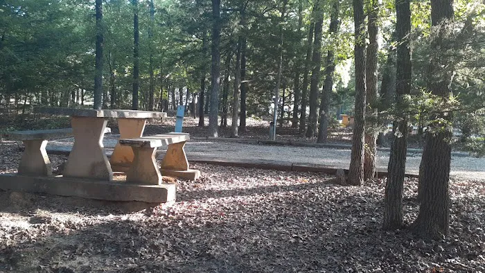 Dukes Forest Campground Picture 3