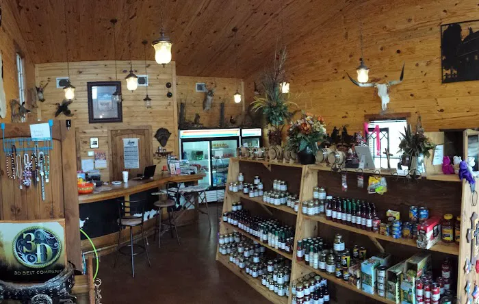 Lufkin KOA Journey Picture 5